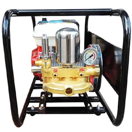 Parihuela Shiraiwa SHI-030-B